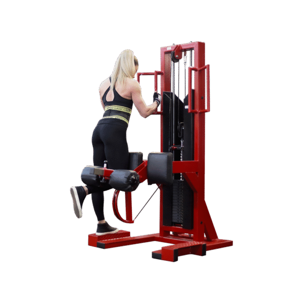 Cross Trainer